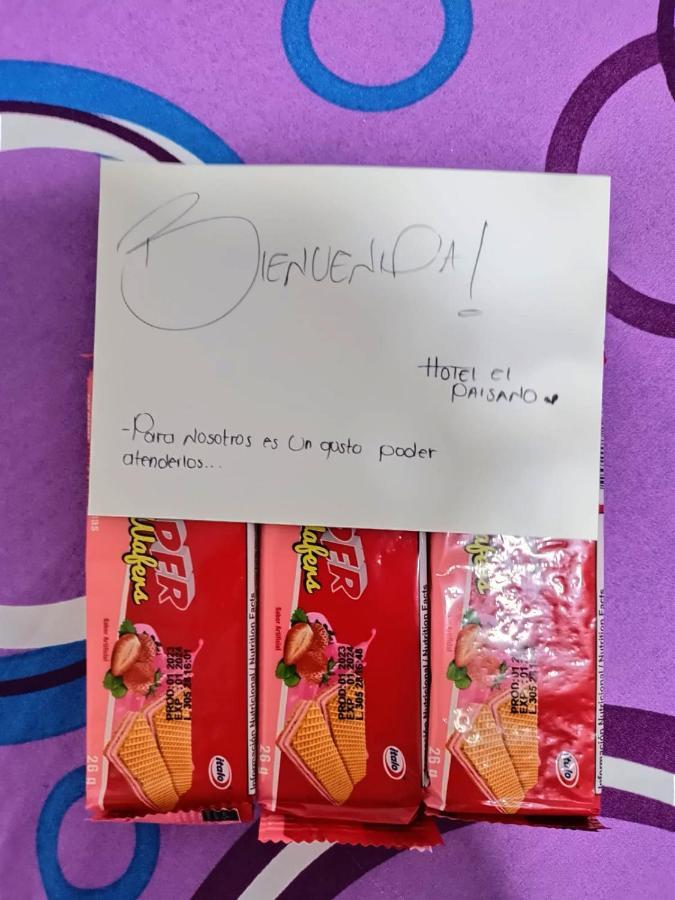 Hotel El Paisano 比亚维森西奥 外观 照片